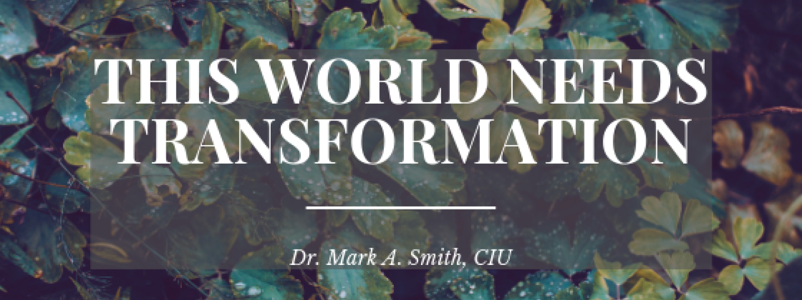 This world needs transformation Mark Smith CIU